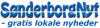 SønderborgNyt logo