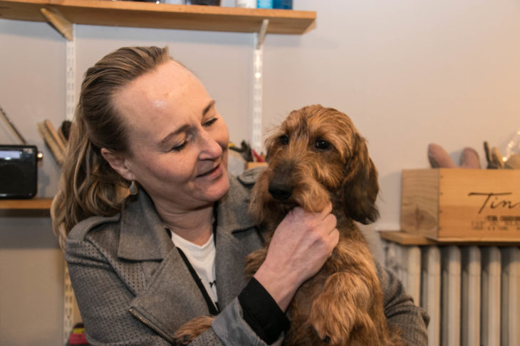tjenestemænd dør spejl Uenighed Hr. og Fru Hund – her er det hunde der får plejet hårpragten | SønderborgNYT