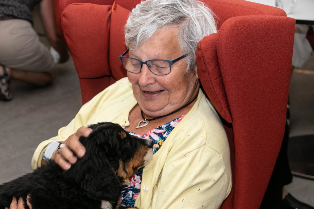 Hygge med hunde © SønderborgNYT