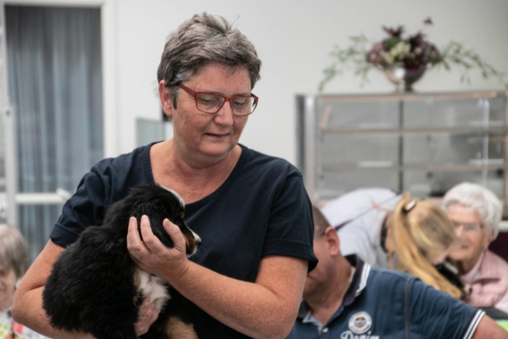 Hygge med hunde © SønderborgNYT