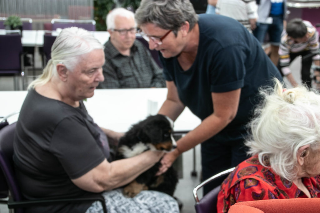 Hygge med hunde © SønderborgNYT