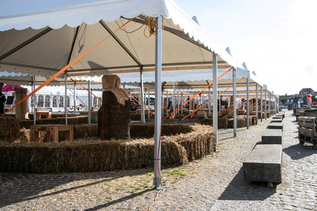 WoodSculptur er mandagsklar © SønderborgNYT