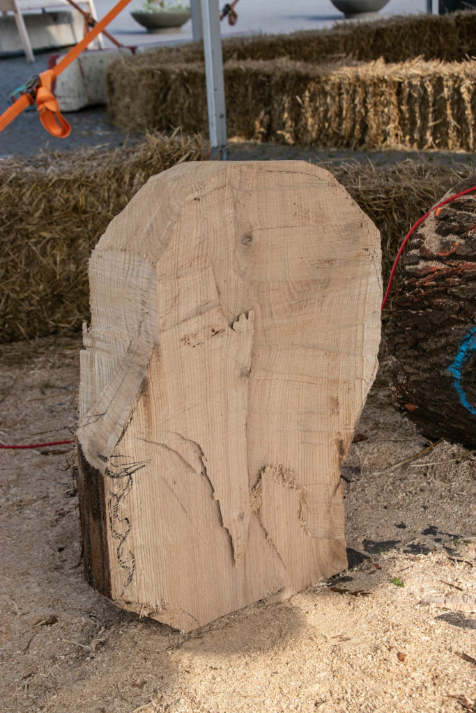WoodSculptur er mandagsklar © SønderborgNYT