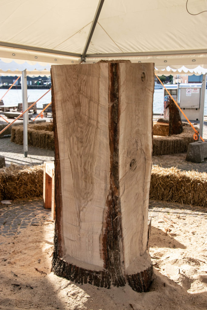 WoodSculptur er mandagsklar © SønderborgNYT