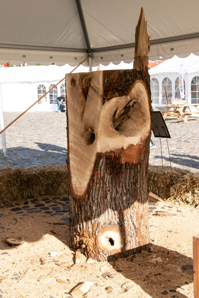 WoodSculptur er mandagsklar © SønderborgNYT