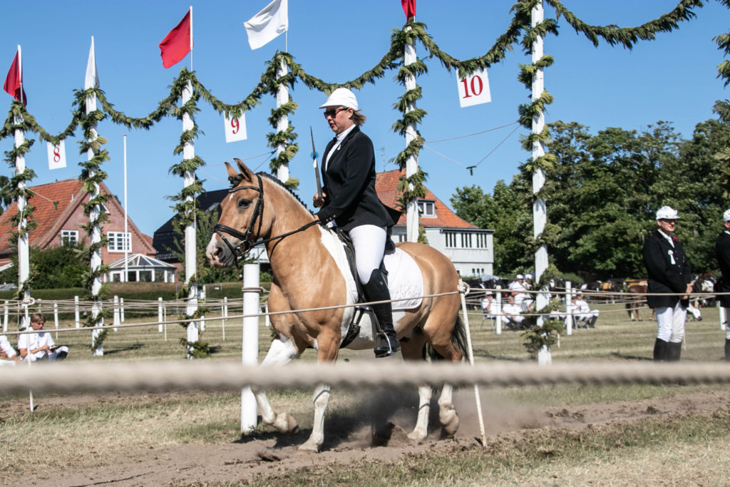 Kongeridning © SønderborgNYT