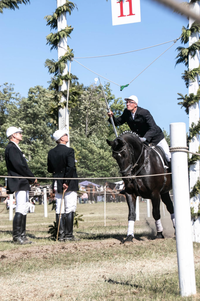 Kongeridning © SønderborgNYT