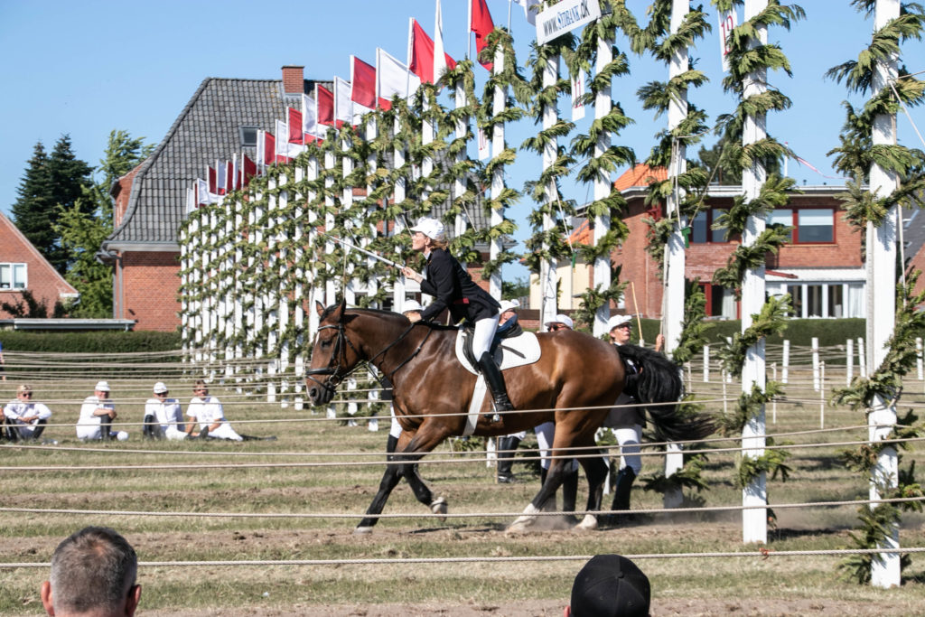Kongeridning © SønderborgNYT