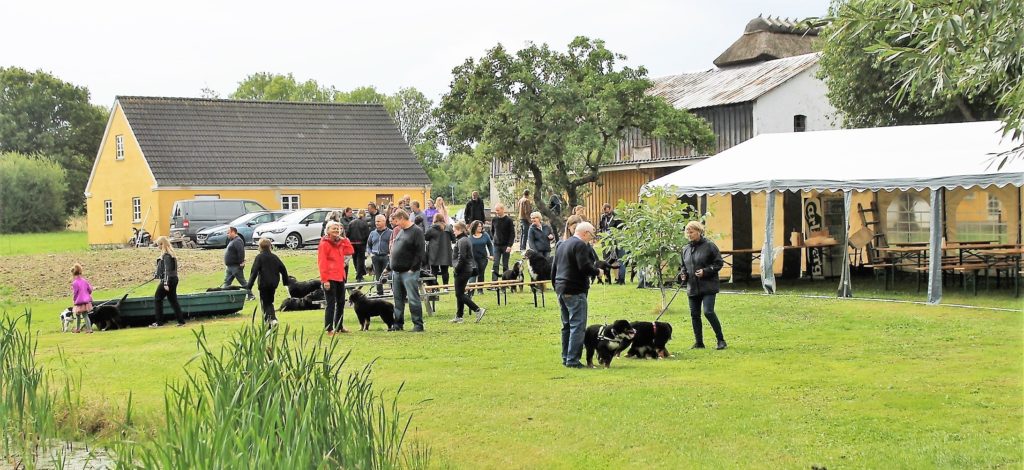 Berner Sennen - Foto: Torben Sievertsen