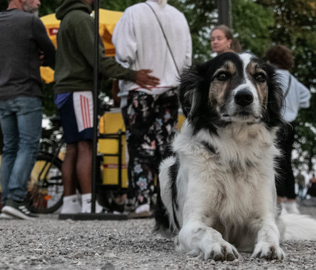 ZULU Sommerbio © SønderborgNYT