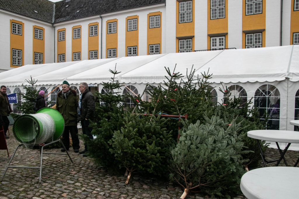 Jul i Hertugbyen © SønderborgNYT