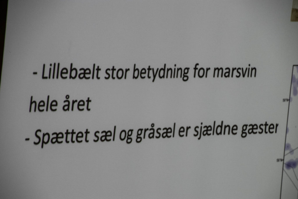 Vindmølle-debat © SønderborgNYT