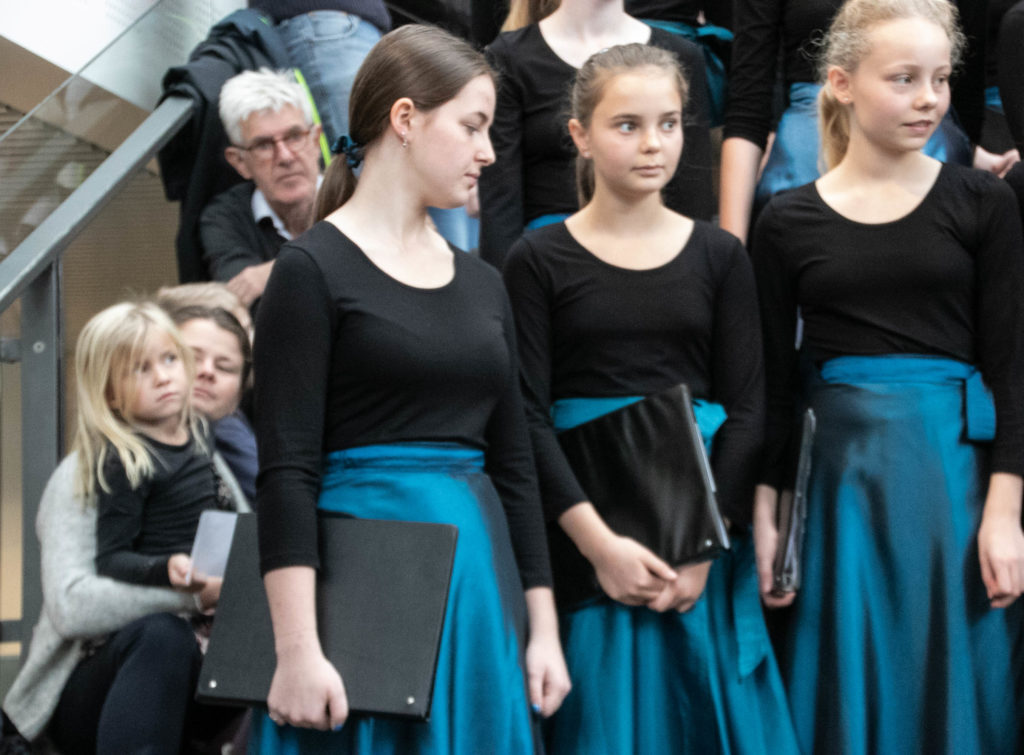 Kor- og fællessang © SønderborgNYT