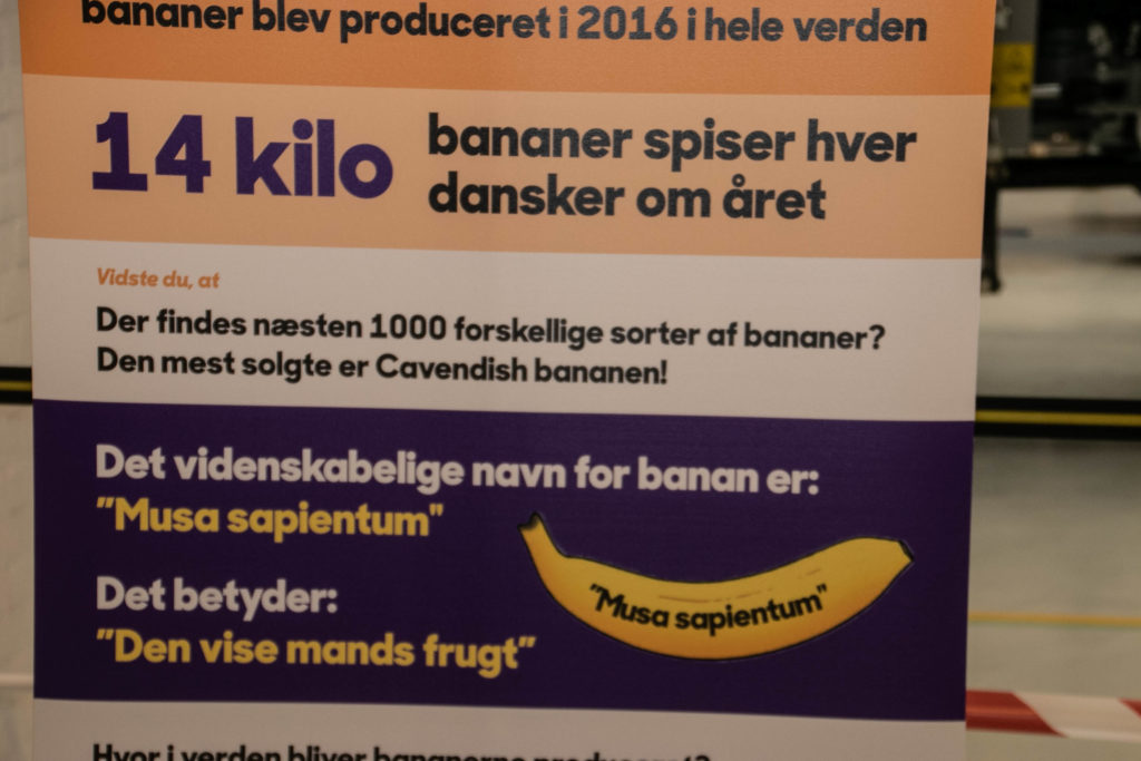 Naturfag på Danfoss © SønderborgNYT