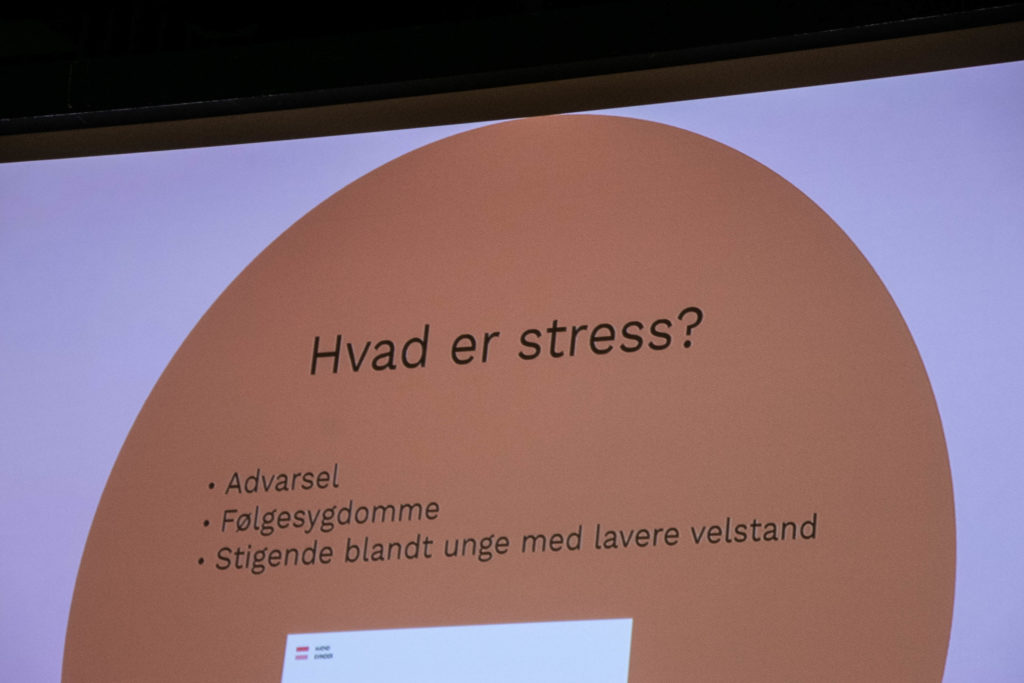 Projektdag © SønderborgNYT