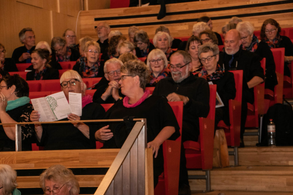 Korsang © SønderborgNYT
