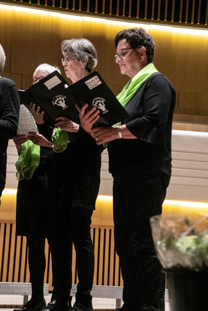 Korsang © SønderborgNYT