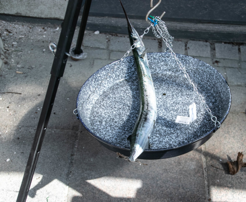 Fiske-tjek © SønderborgNYT