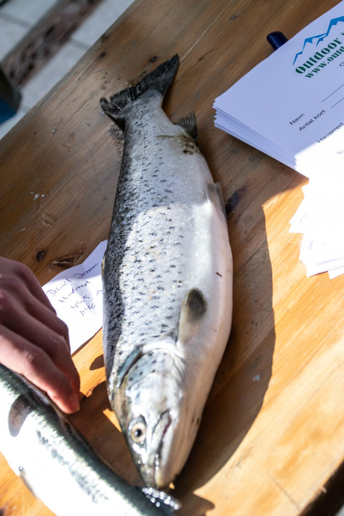 Fiske-tjek © SønderborgNYT