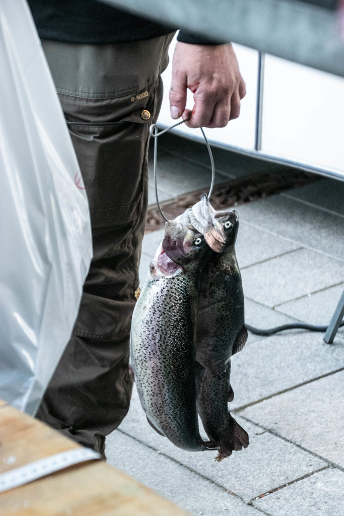 Fiske-tjek © SønderborgNYT