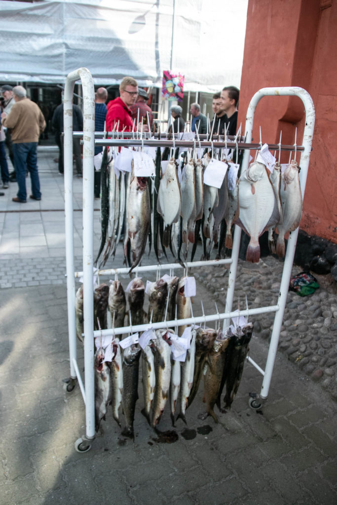 Fiske-tjek © SønderborgNYT