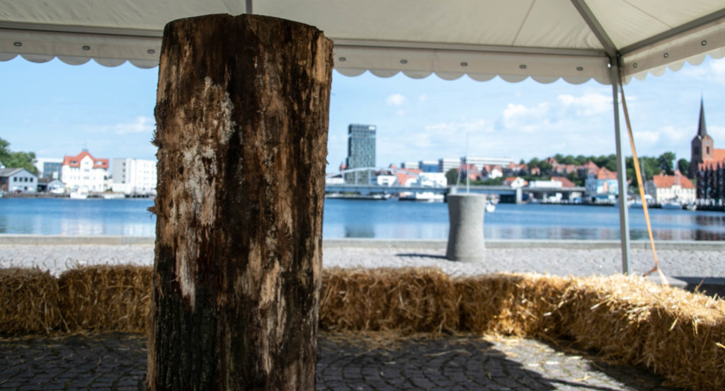 WoodSculpture © SønderborgNYT