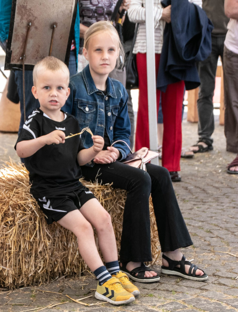 WoodSculpture © SønderborgNYT