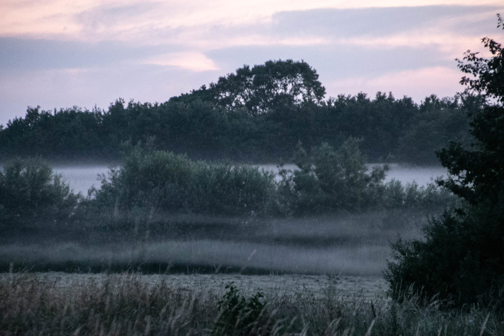 Morgendis © SønderborgNYT