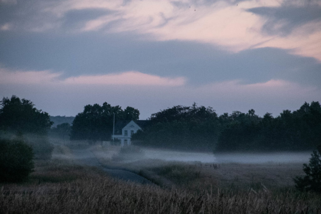 Morgendis © SønderborgNYT