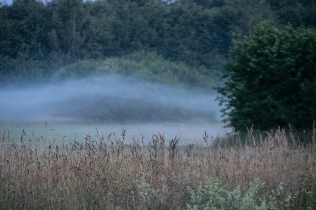 Morgendis © SønderborgNYT
