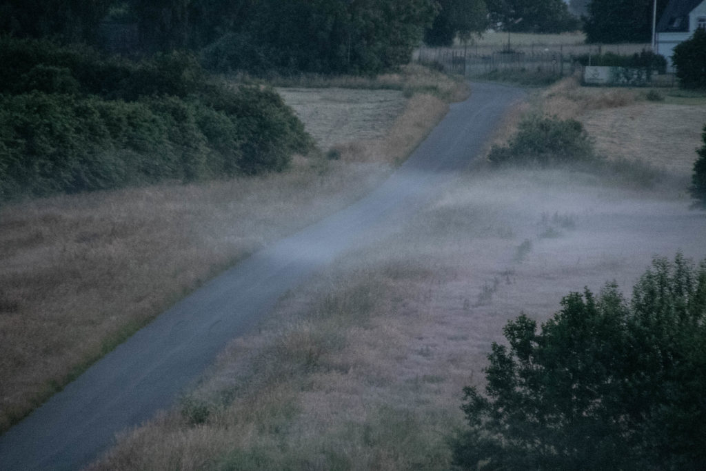 Morgendis © SønderborgNYT