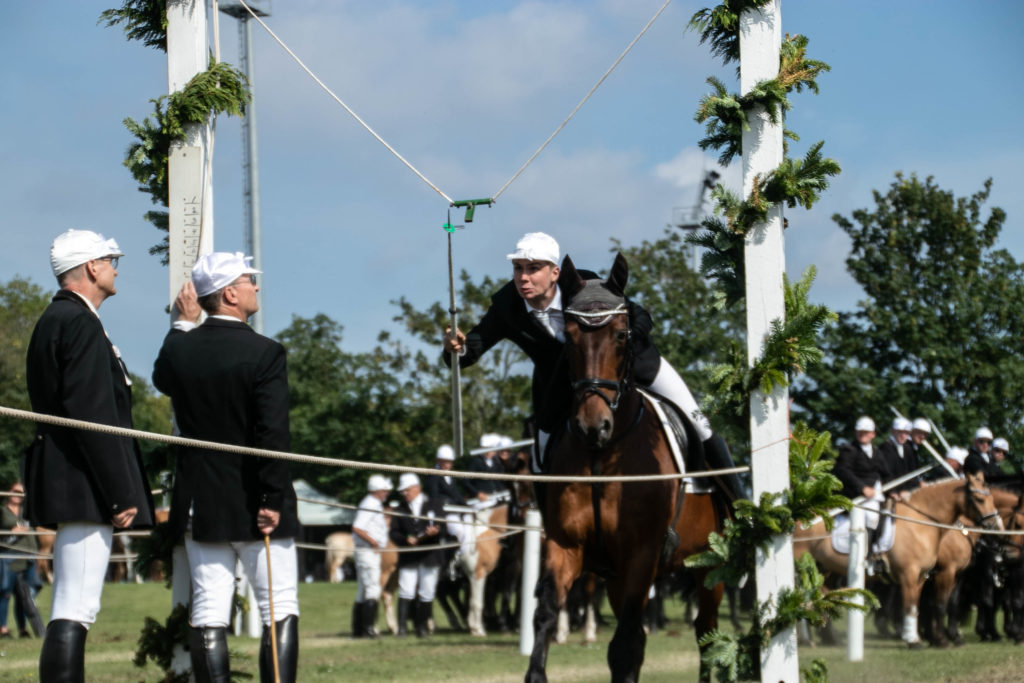 Ringridning © SønderborgNYT