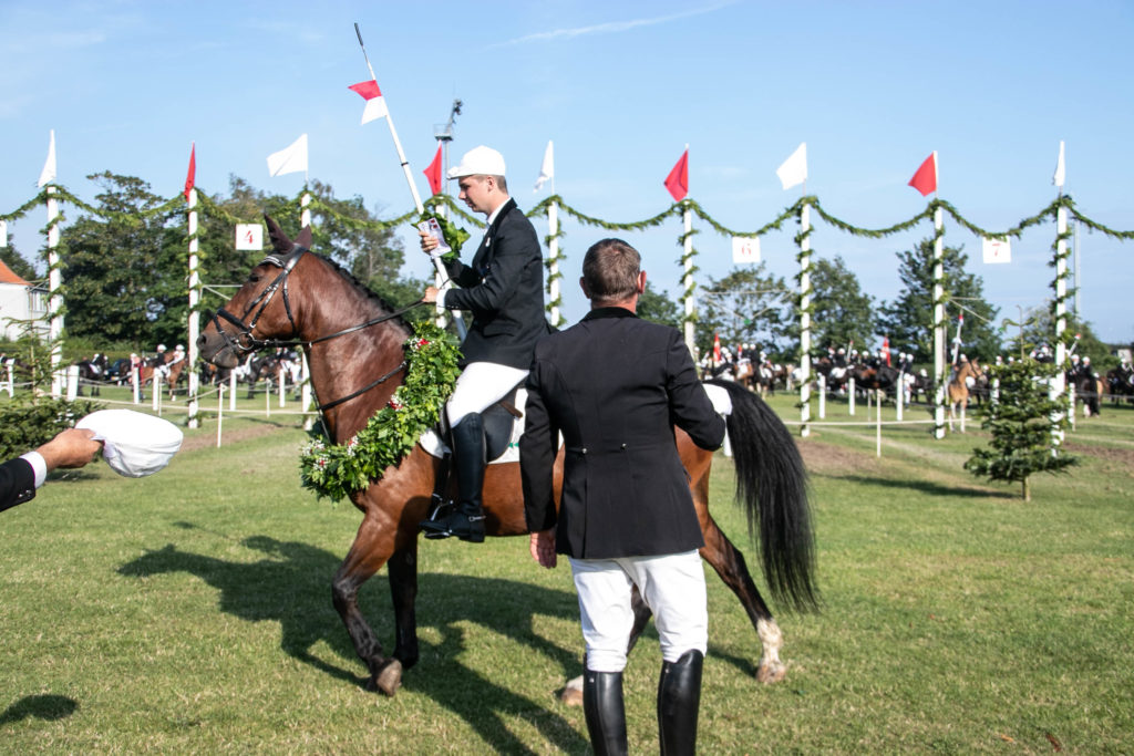 Ringridning © SønderborgNYT