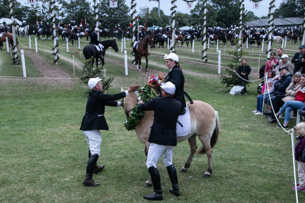 Ringridning © SønderborgNYT