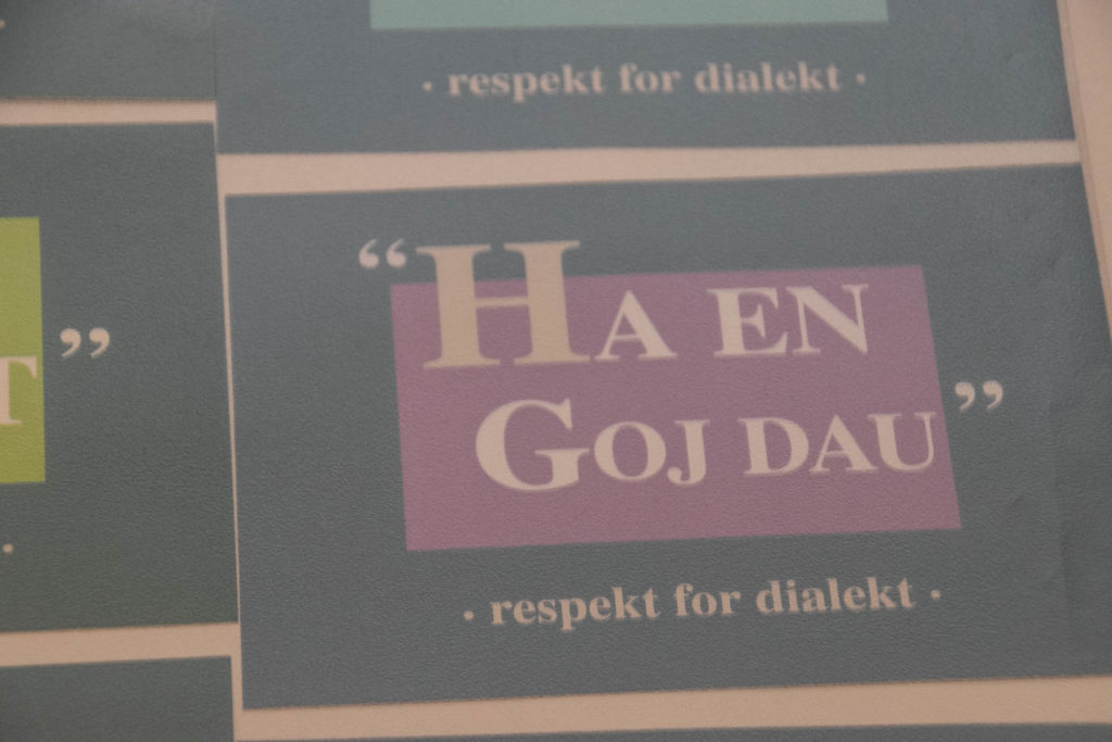 Synnejysk © SønderborgNYT