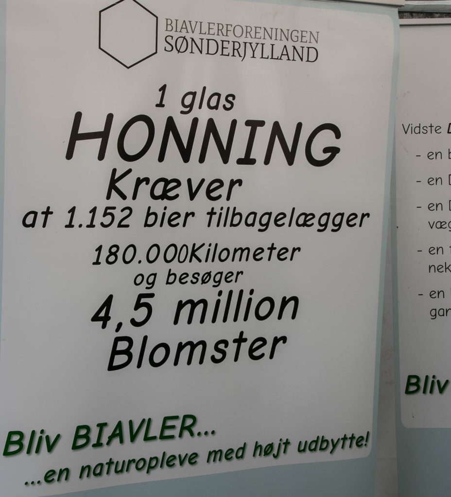 Æblefestival © SønderborgNYT
