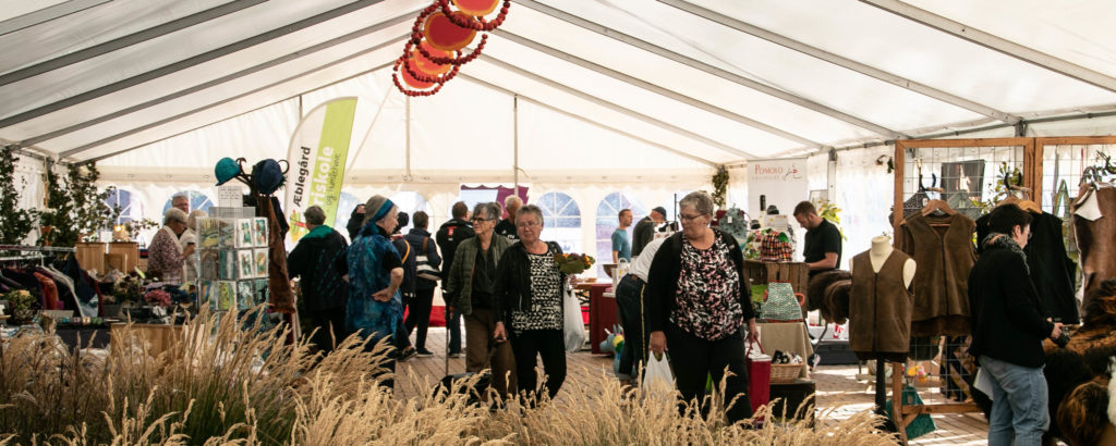 Æblefestival © SønderborgNYT