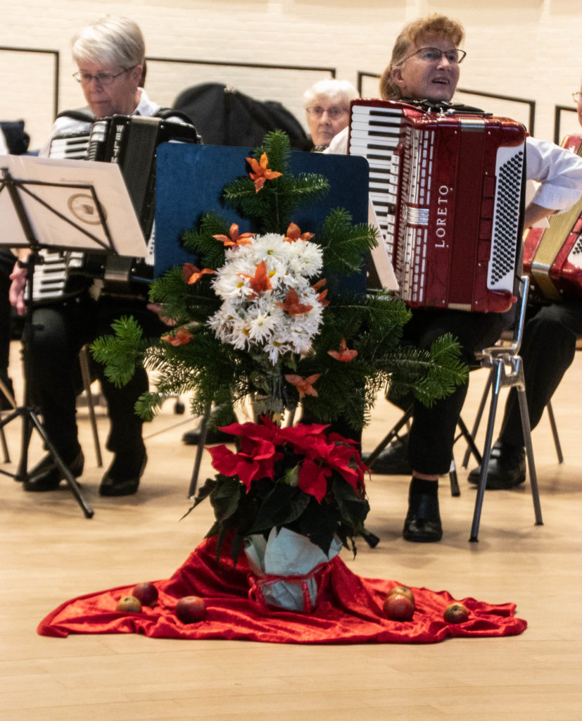 Harmonikaklubben © SønderborgNYT