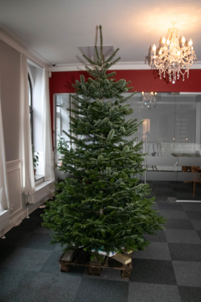 Børnejulefrokost © SønderborgNYT