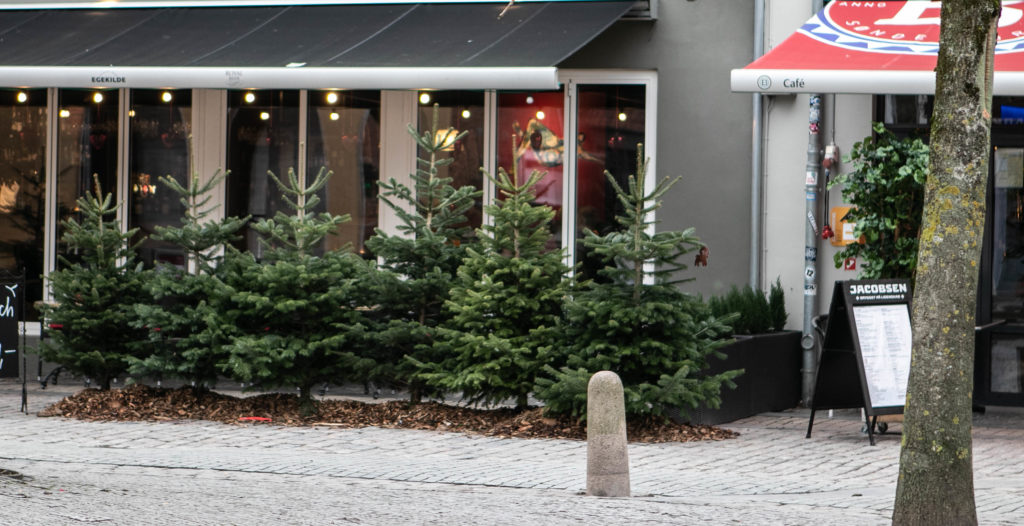 Sønderborg Garden © SønderborgNYT