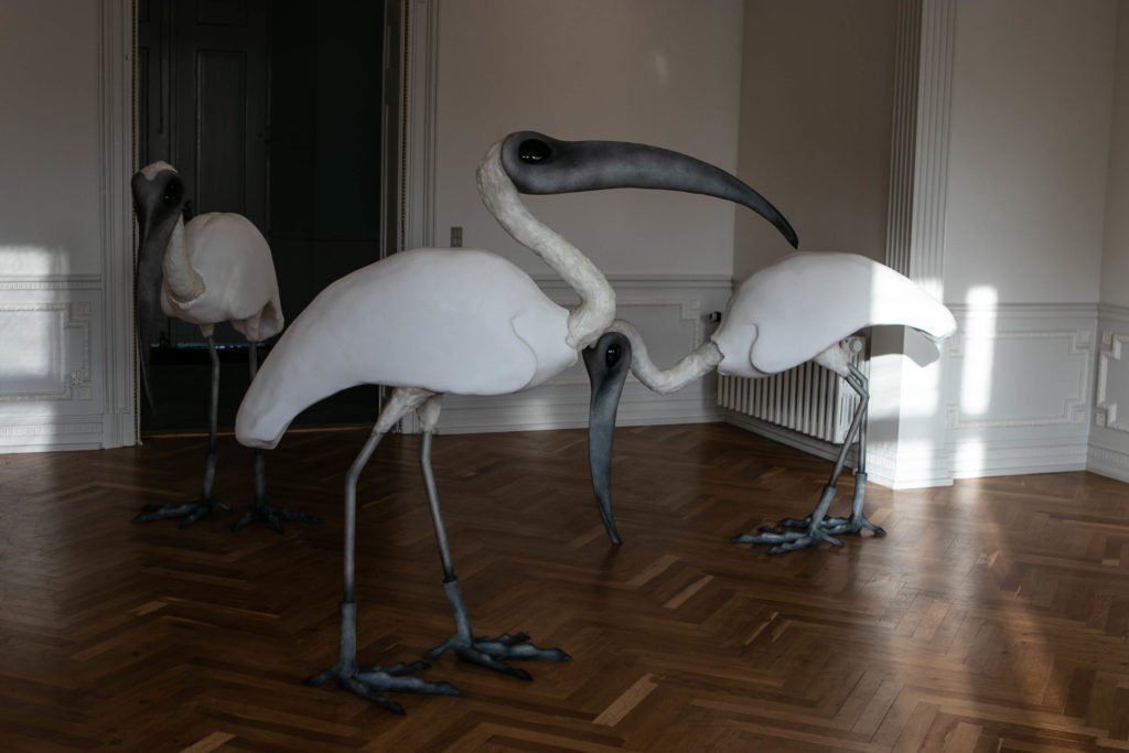 Augustiana © SønderborgNYT