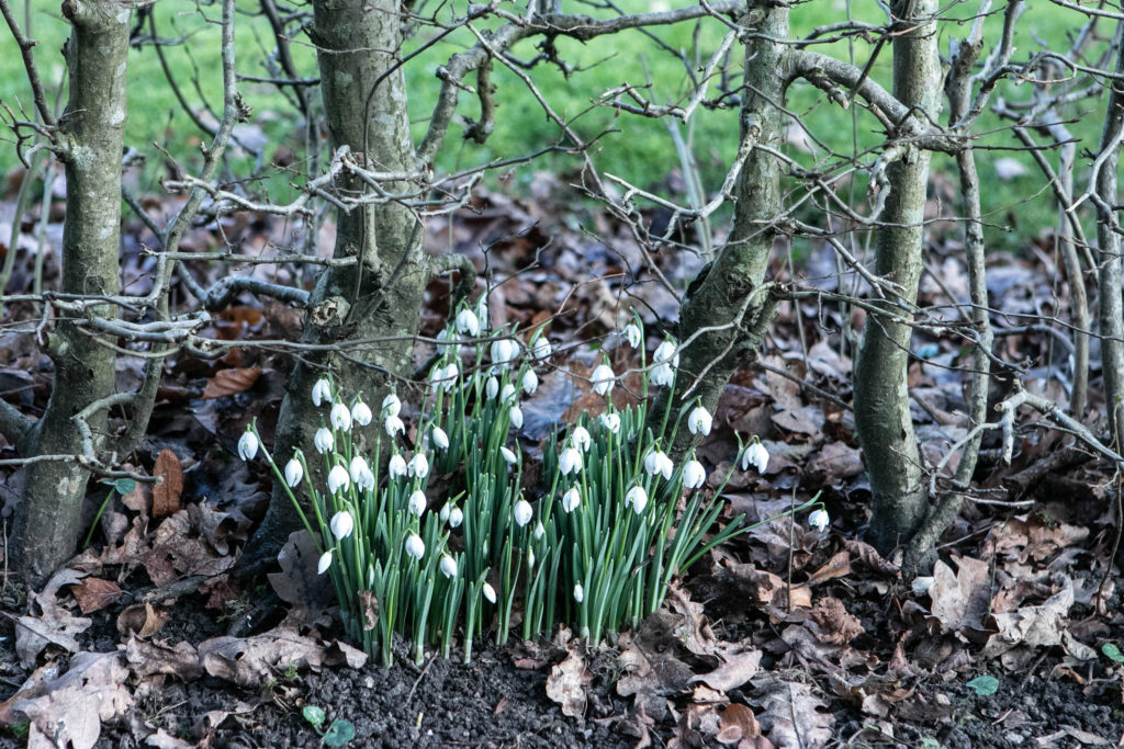 Augustenborg © SønderborgNYT