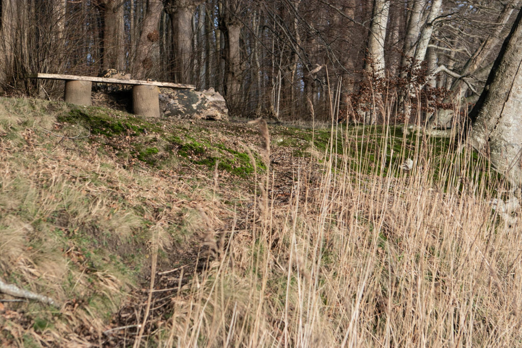 Augustenborg © SønderborgNYT