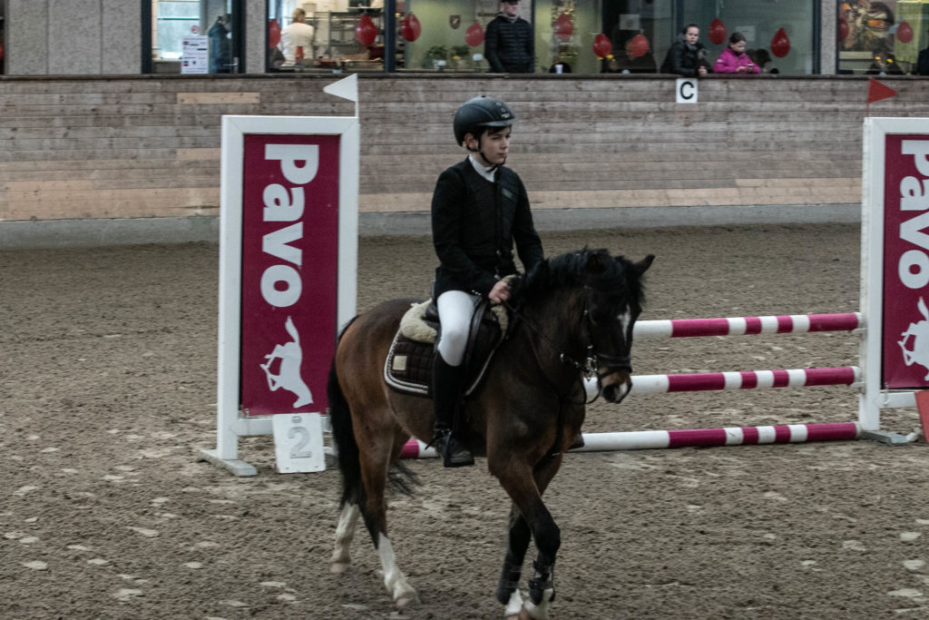 Sønderborg Sportsrideklub © SønderborgNYT