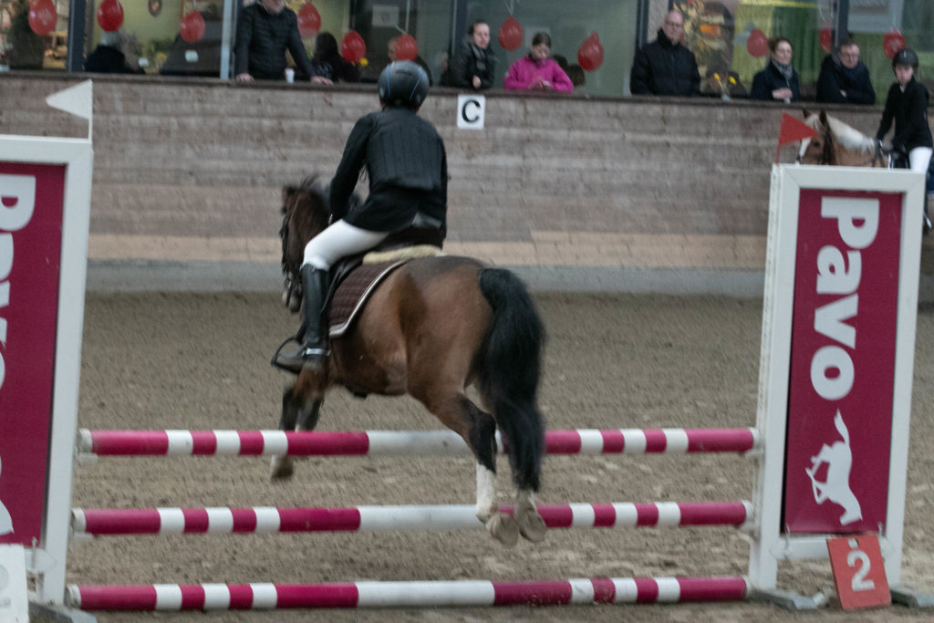 Sønderborg Sportsrideklub © SønderborgNYT
