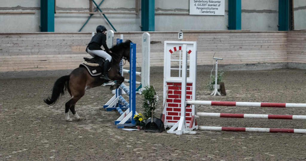 Sønderborg Sportsrideklub © SønderborgNYT