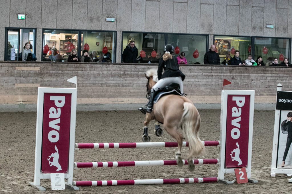 Sønderborg Sportsrideklub © SønderborgNYT