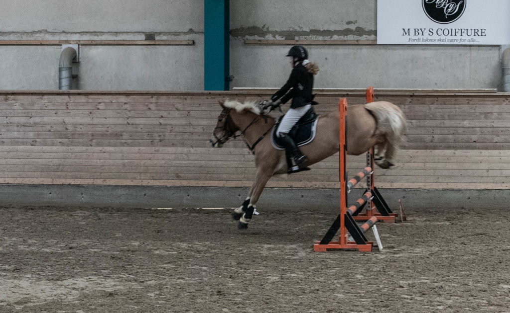 Sønderborg Sportsrideklub © SønderborgNYT