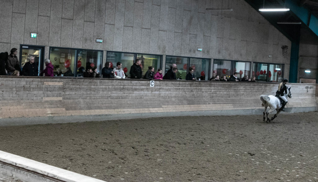 Sønderborg Sportsrideklub © SønderborgNYT