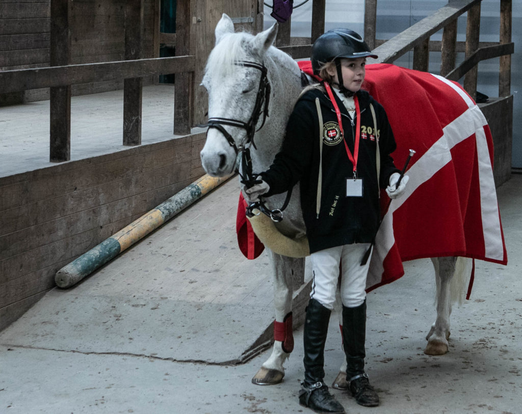 Sønderborg Sportsrideklub © SønderborgNYT